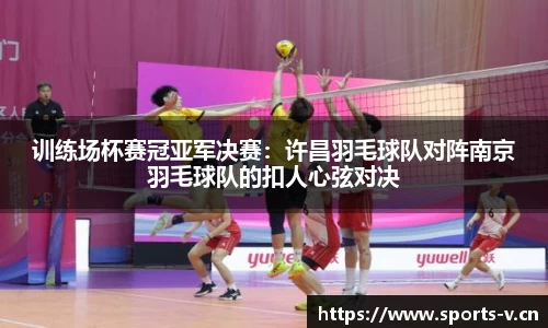 训练场杯赛冠亚军决赛：许昌羽毛球队对阵南京羽毛球队的扣人心弦对决